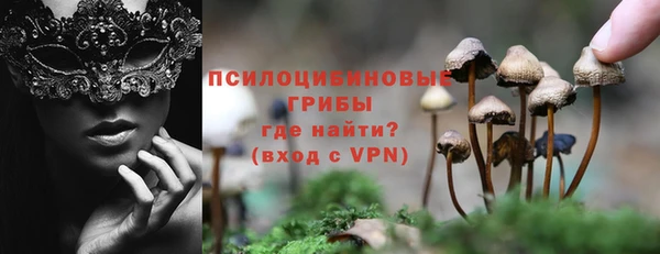 МДПВ Лагань