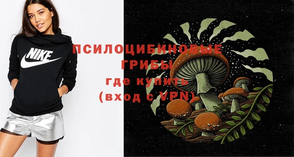 МДПВ Лагань