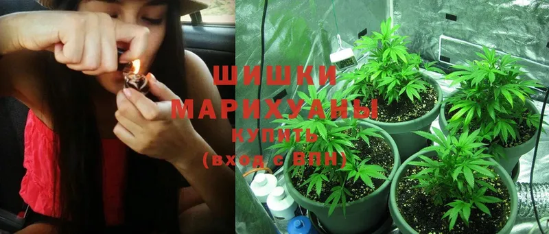МАРИХУАНА конопля  гидра сайт  Елизаветинская 
